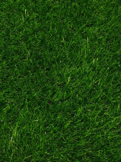 Газон искусственный, ворс 30 мм, 2×10 м, зелёный, Greengo