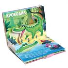 Книжки-панорамки 3D набор «Читаем про зверят» 2 шт. по 12 стр. - фото 3718455