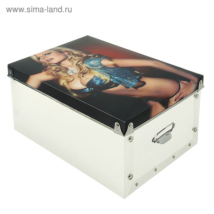 Короб для хранения 31,5х22,5х14,5 см "Блондинка" - Фото 1
