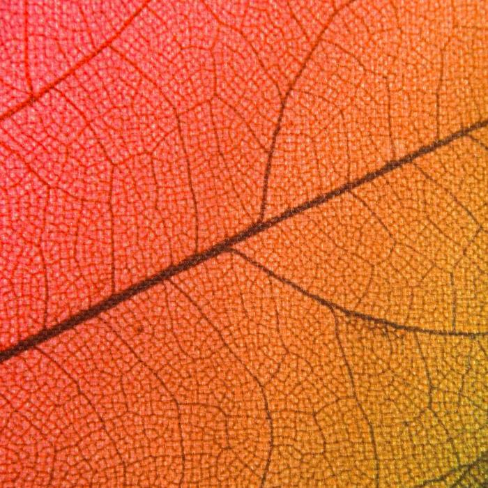 Салфетка на стол «Осенние листья» 30х40 см - фото 1908647471