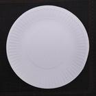 Набор одноразовых тарелок, d=17 см, цвет белый - Фото 1