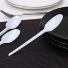 Ложки одноразовые Мистерия, набор 12 шт., пластик, 16.5 см, столовые, белые - Фото 1