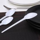 Ложки одноразовые Мистерия, набор 12 шт., пластик, 16.5 см, столовые, белые - Фото 2