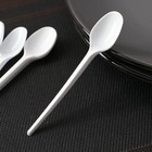 Набор пластиковых одноразовых ложек чайных Мистерия, 12.5 см, 12 шт., белый - Фото 1