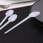 Набор пластиковых одноразовых ложек чайных Мистерия, 12.5 см, 12 шт., белый - Фото 2