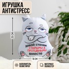 Игрушка-антистресс «Давай станем старыми и противными вместе» 5472909 - фото 8963468