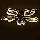 Люстра с ПДУ 71107/5BK LED 130Вт 3000-6000К диммер черный 64х64х10 см BayerLux - фото 40518240