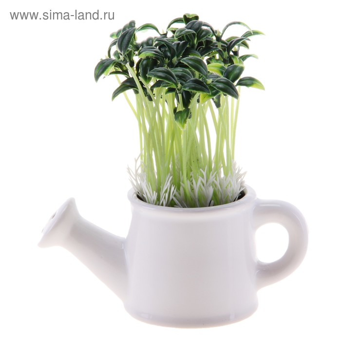 композиция в лейке 13 см молодые побеги - Фото 1