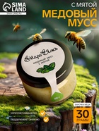 Медовый мусс «Марь&Яжъ», с мятой, 30 г - Фото 1