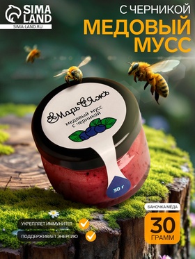 Медовый мусс «Марь&Яжъ», с черникой, 30 г (комплект 2 шт)