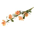 цветы искусственные лате 70 см розы лист скрученный тонкий - Фото 1