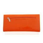 Визитница "Глянец" 14 карманов, наружный карман, оранжевая - Фото 2