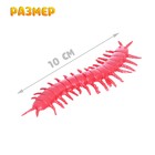 Набор животных насекомых «Природа», МИКС - Фото 6