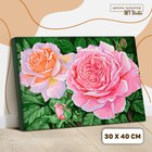 Картина по номерам на холсте с подрамником «Розовые розы», 40х30 см - фото 9166779