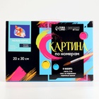 Картина по номерам на холсте с подрамником «Малыш Корги» 20×30 см - Фото 7