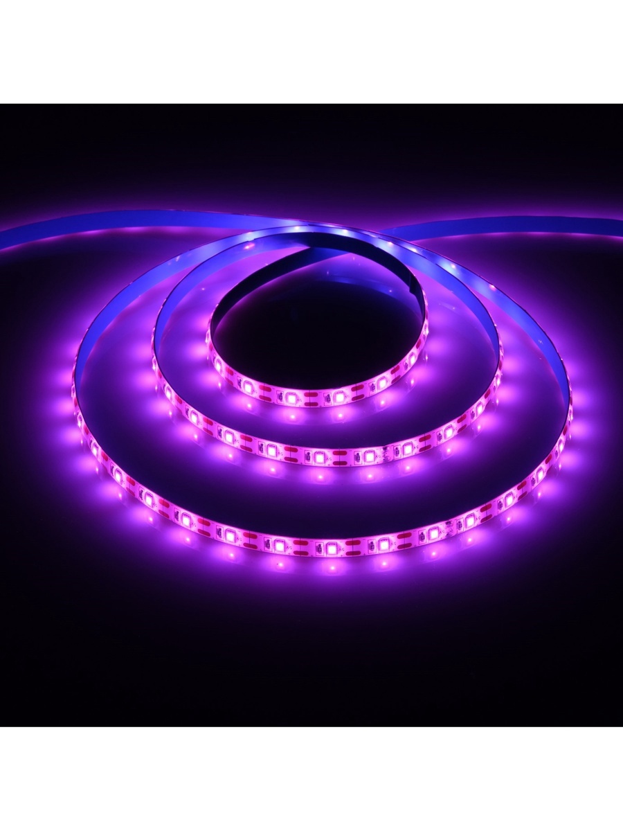 Где Можно В Москве Купить Фитоленту Оптом