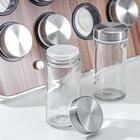 Набор для специй «Модерн», 29×12×18.5 см, ёмкость, 90 мл, 4×9.5 см, на подставке, 8 шт., стекло - Фото 4