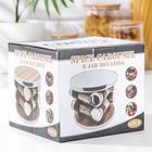 Набор для специй «Модерн», 30×9×22 см, ёмкость 90 мл, 4×9.5 см, на подставке, 8 шт., стекло - Фото 4