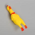 Игрушка пищалка «Курица», 16 см, в лапах - Фото 3
