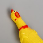 Игрушка пищалка «Курица», 16 см, в лапах - Фото 4