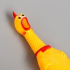 Игрушка пищалка «Курица», 30 см, в пасти - фото 8881807