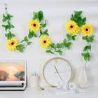 Лиана «Подсолнух», 2 м - Фото 1