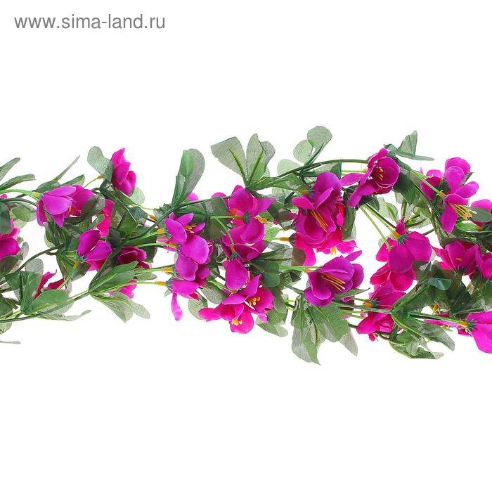 лиана 2,1 см цветение МИКС - Фото 1