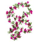 лиана 2,1 см цветение МИКС - Фото 3