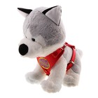 шлейка №2 кожзам Малыш (красная) обхват шеи 38-60 см/обхват груди 56-78 см - Фото 1