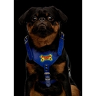 шлейка №2 кожзам Лучший друг (синяя) обхват шеи 38-60 см/обхват груди 56-78 см - Фото 1