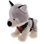 шлейка №3 кожзам Разведчик (черная) обхват шеи 38-50 см/обхват груди 42-62 см - Фото 1