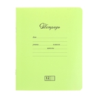 Тетрадь 12 листов линейка "Новая Великолепная тетрадь. Фисташковая" - Фото 1