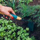 Тяпка посадочная Greengo, длина 28.5 см, деревянная ручка с поролоном - Фото 10