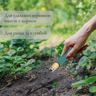 Корнеудалитель, длина 30 см, деревянная ручка с поролоном, Greengo - Фото 5