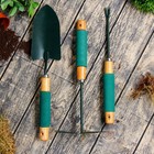 Набор садового инструмента, 3 предмета: совок, мотыжка, корнеудалитель, длина 36 см, деревянные ручки с поролоном - Фото 1