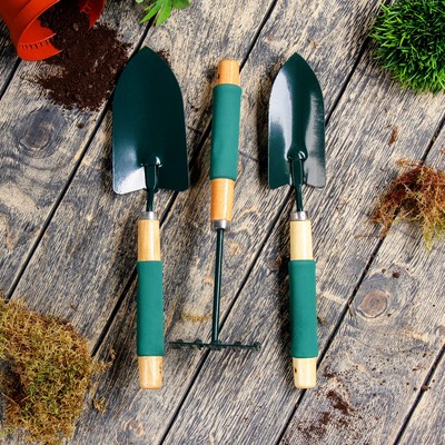 Набор садового инструмента, 3 предмета: совок узкий, совок широкий, грабли, длина 36 см, деревянные ручки с поролоном