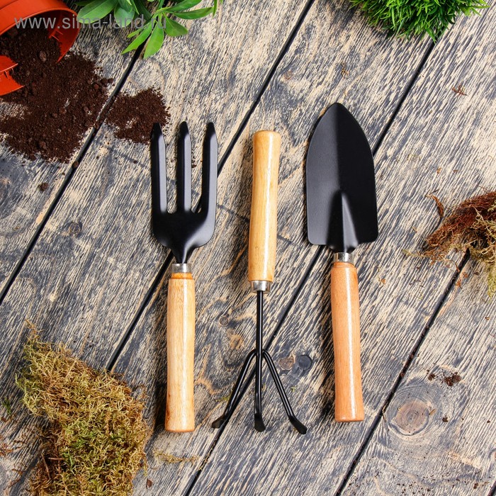 Набор садового инструмента, 3 предмета: совок, рыхлитель, вилка, длина 24 см, деревянные ручки - Фото 1
