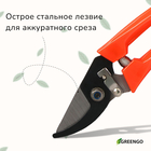Секатор плоскостной, 7" (18 см), с пластиковыми ручками, Greengo - Фото 2
