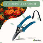 Ножницы садовые, 7" (18 см), с тефлоновым покрытием, пластиковые ручки, Greengo 150785 - фото 6371