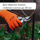 Секатор плоскостной, 8" (20 см), c пластиковыми ручками, Greengo - Фото 7