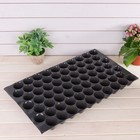 Кассета для рассады, 70 ячеек по 75 мл, Greengo - Фото 1