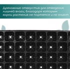 Кассета для рассады, на 32 ячейки, по 110 мл, пластиковая, чёрная, 53,5 × 27 × 5,5 см, Greengo 150833 - фото 2131641