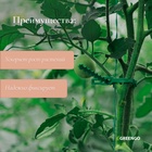 Подвязки для растений, длина 13 см, набор 50 шт., Greengo - Фото 3