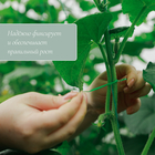 Проволока подвязочная, 100 м, зелёная, Greengo - Фото 3