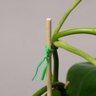 Проволока подвязочная, 100 м, зелёная, Greengo - Фото 9