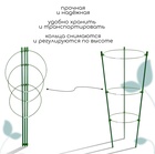 Кустодержатель, d=15–17–19 см, h=44 см, 3 кольца, металл, зелёный, Greengo - Фото 3