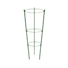 Кустодержатель, d=18.5–20–22 см, h=60 см, 3 кольца, металл, зелёный, Greengo - Фото 5