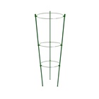 Кустодержатель, d=18–20–22 см, h=60 см, 3 кольца, металл, зелёный, Greengo - Фото 5