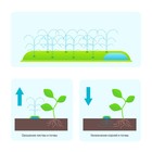 Шланг для капельного полива, сочащийся, d=12 мм (1/2"), L = 5 м, Greengo - Фото 2