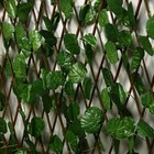 Ограждение декоративное, 120 × 70 см, «Лист ольхи», Greengo - Фото 2